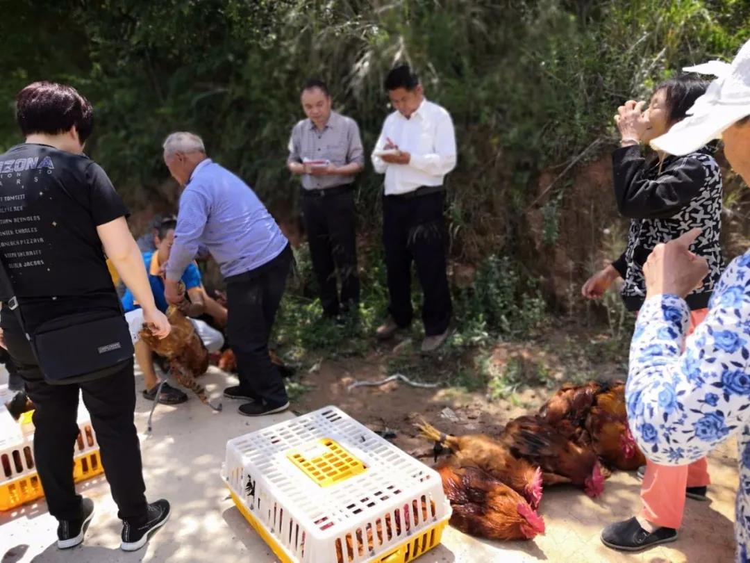 2020052616553207.jpg 微信图片_20200526165439.jpg