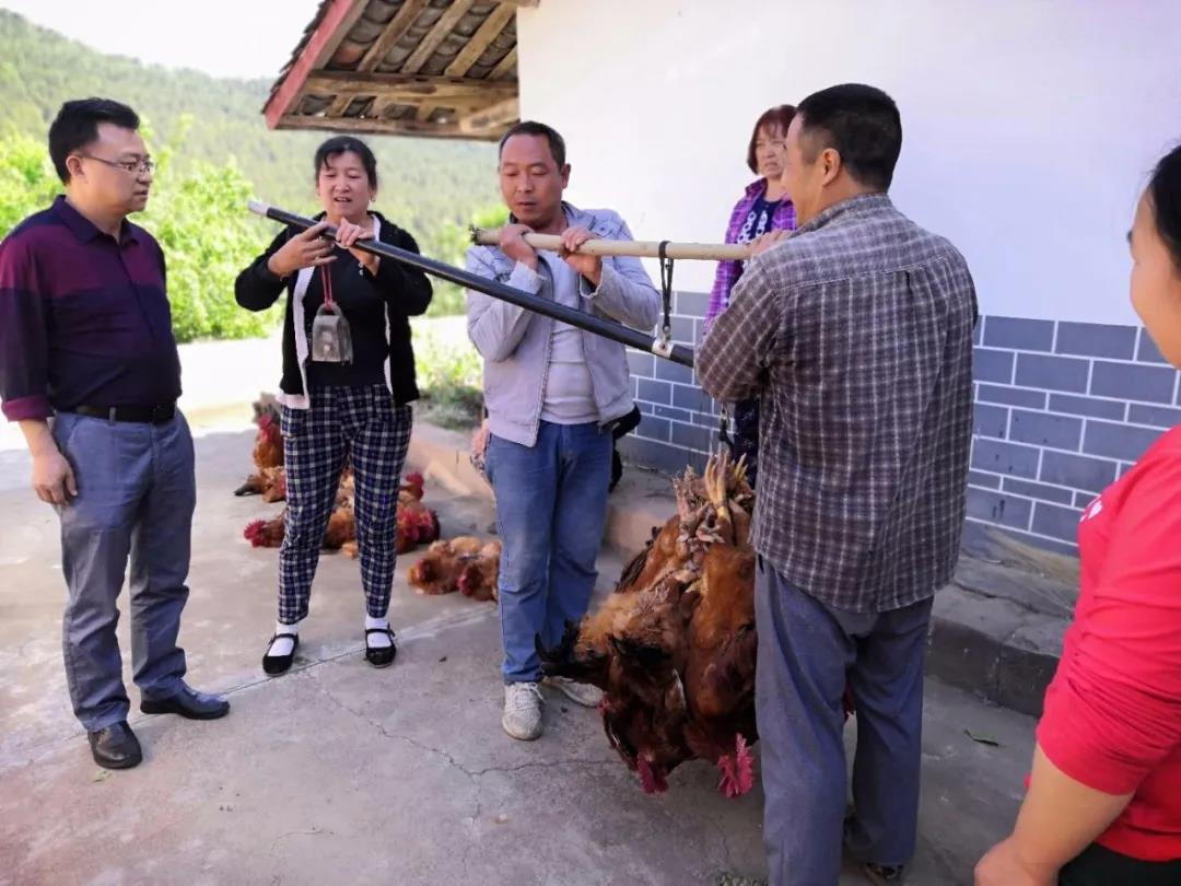 2020052616555904.jpg 微信图片_20200526165453.jpg