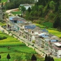 2020052616583207.jpg 0 (1).jpg