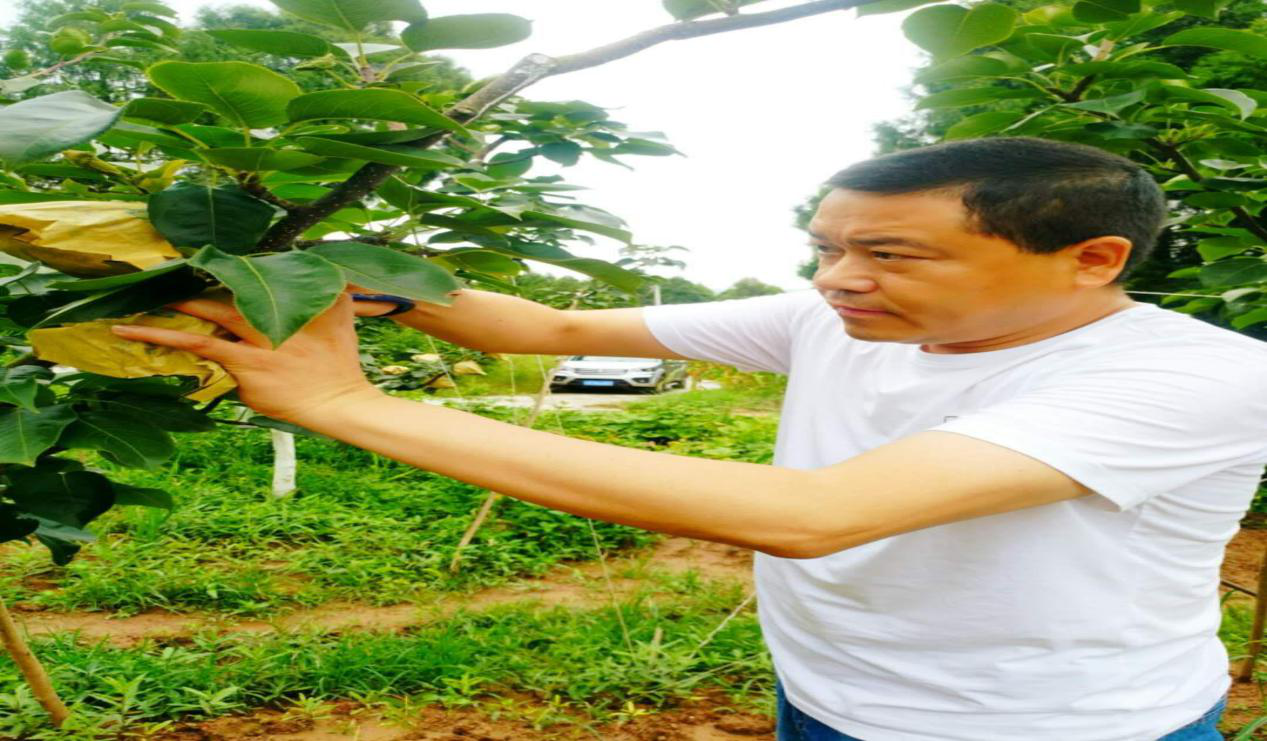 2020101015533309.png 图片3.png