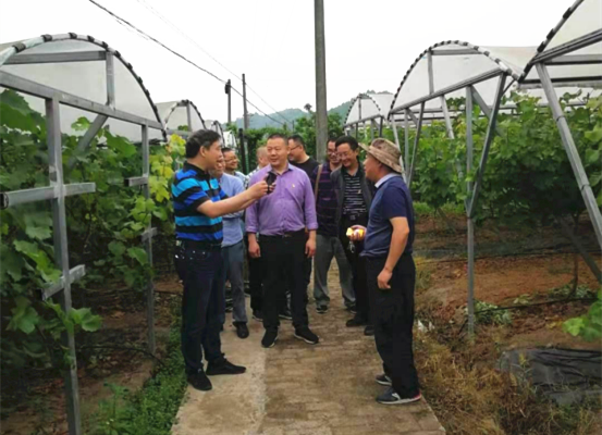 2021060310360505.png 市农业农村局农科院党支部开展党史学习教育“立体”教学(熊书记改)(1)802_副本.png