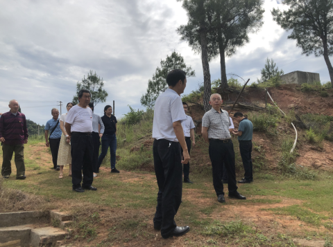 2021062316170609.png image.png