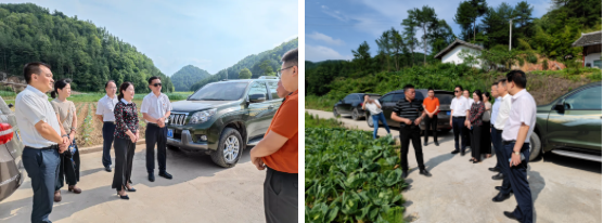 2021070517021000.png image.png