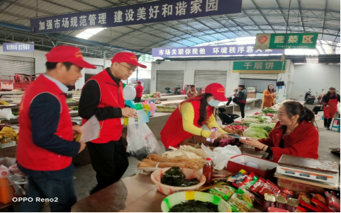 志愿服务走在前   强化引领作表率1191.png