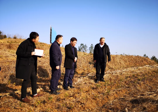 2021121011223506.png image.png